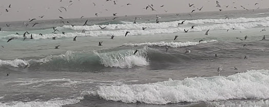 Yoff Beach